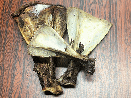 鹿はごいた(肩甲骨)　3枚セット