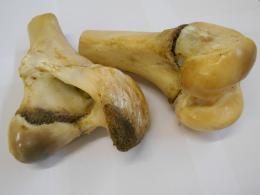 牛丸骨ハーフ 1本