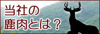 当社の鹿肉とは？